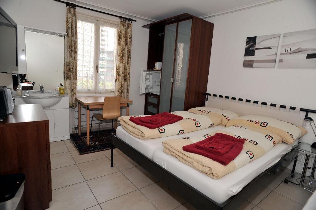 Niros Bed & Breakfast Birsfelden Δωμάτιο φωτογραφία