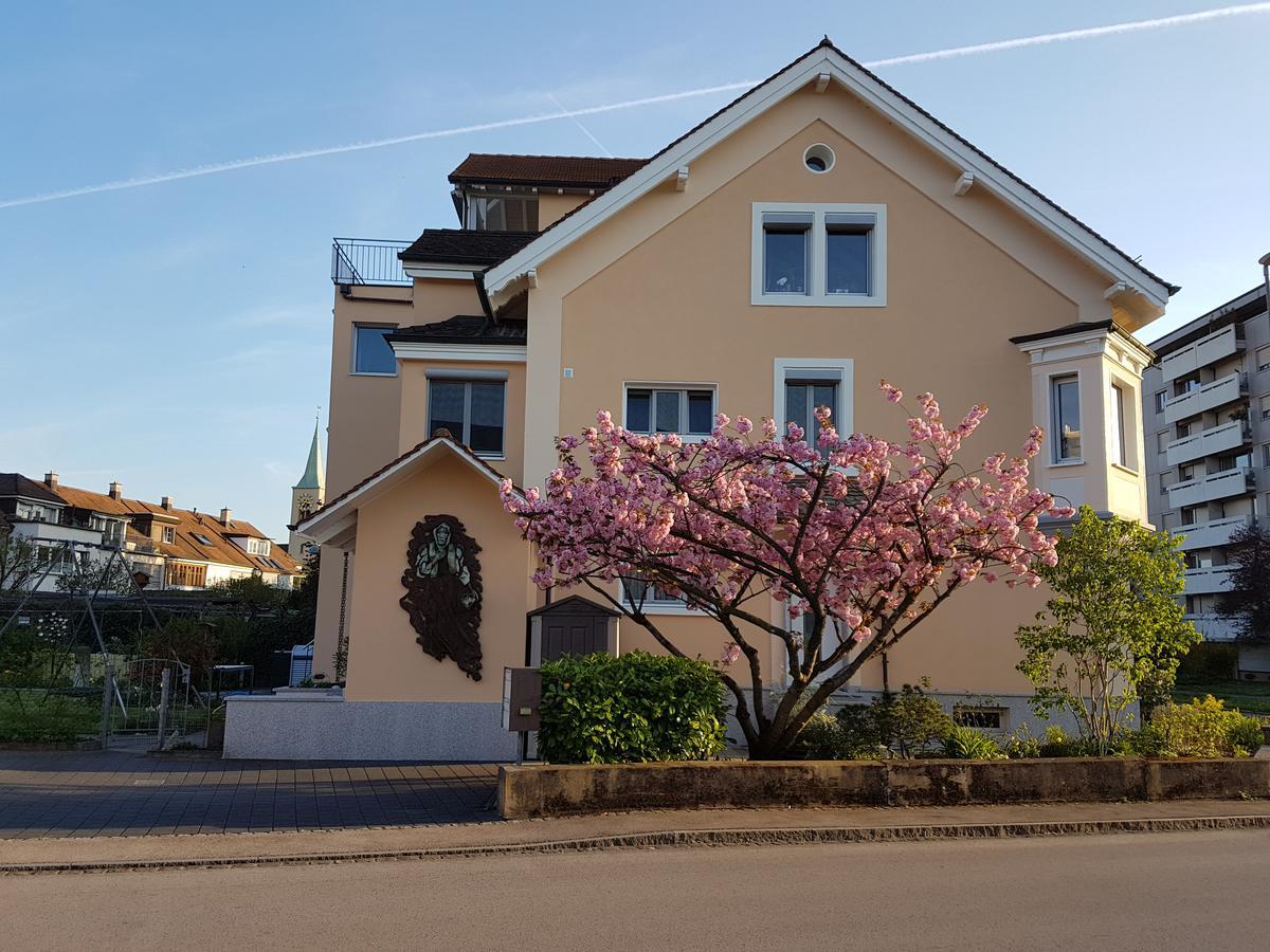 Niros Bed & Breakfast Birsfelden Εξωτερικό φωτογραφία